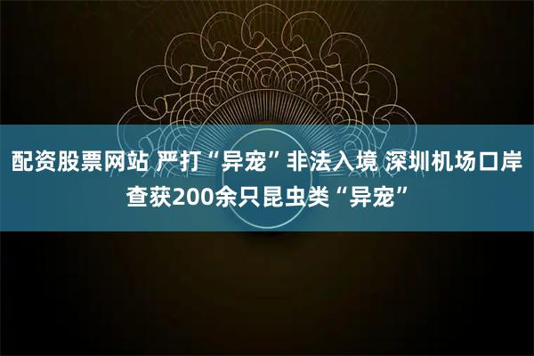 配资股票网站 严打“异宠”非法入境 深圳机场口岸查获200余只昆虫类“异宠”