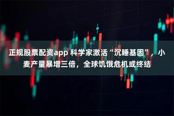 正规股票配资app 科学家激活“沉睡基因”，小麦产量暴增三倍，全球饥饿危机或终结