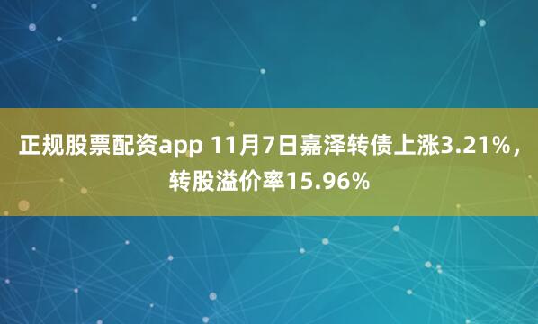 正规股票配资app 11月7日嘉泽转债上涨3.21%，转股溢价率15.96%