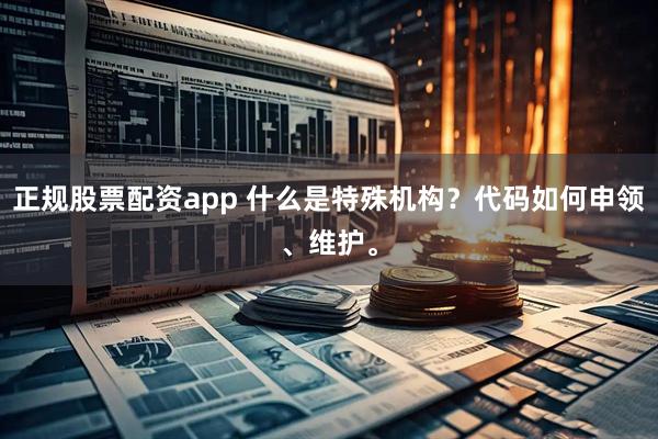 正规股票配资app 什么是特殊机构？代码如何申领、维护。