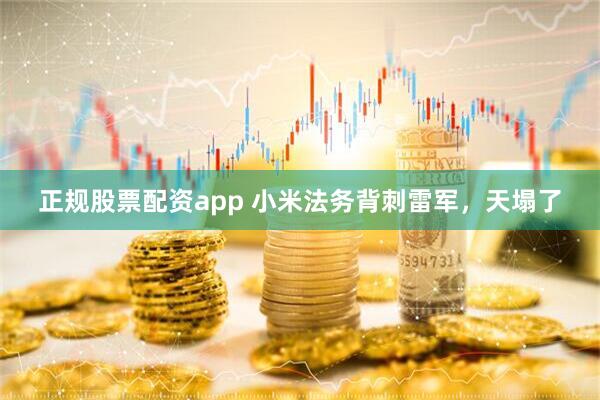 正规股票配资app 小米法务背刺雷军，天塌了