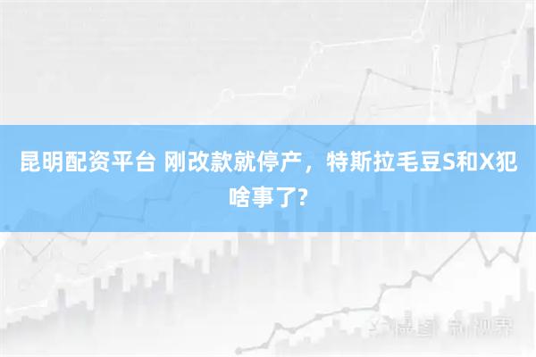 昆明配资平台 刚改款就停产，特斯拉毛豆S和X犯啥事了?