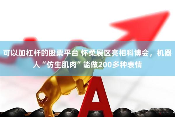 可以加杠杆的股票平台 怀柔展区亮相科博会，机器人“仿生肌肉”能做200多种表情
