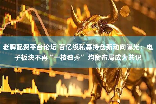 老牌配资平台论坛 百亿级私募持仓新动向曝光：电子板块不再“一枝独秀” 均衡布局成为共识