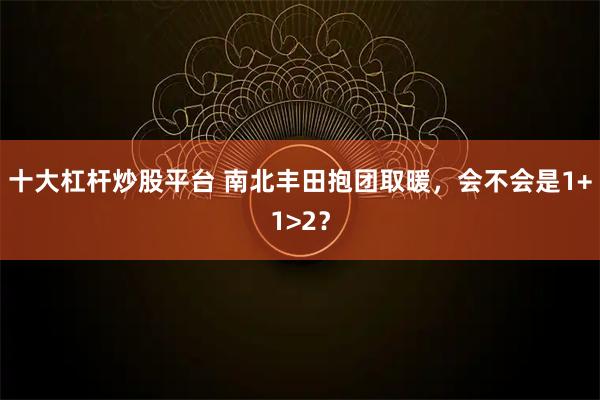 十大杠杆炒股平台 南北丰田抱团取暖，会不会是1+1>2？